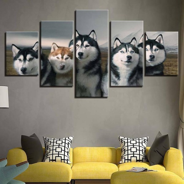 Huskies | 5 dele