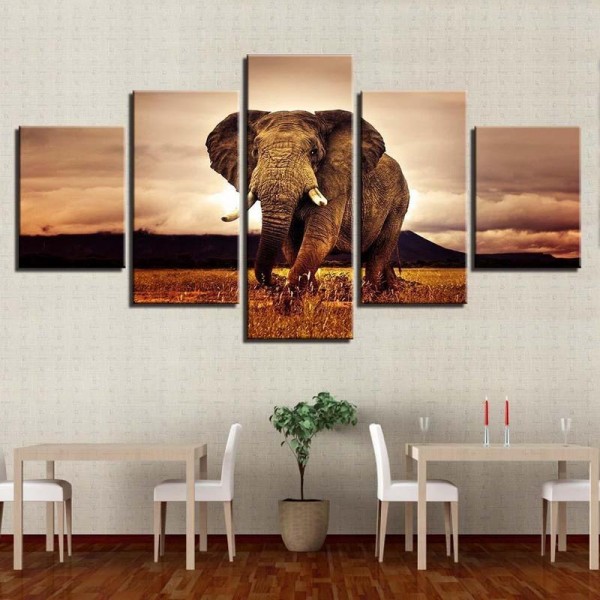 Elefant | 5 dele