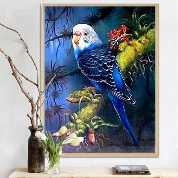 Parakit v.a. 50x60cm