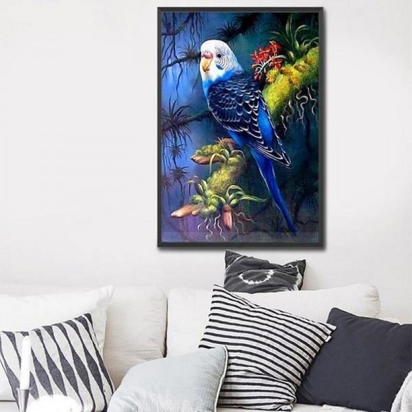 Parakit v.a. 50x60cm