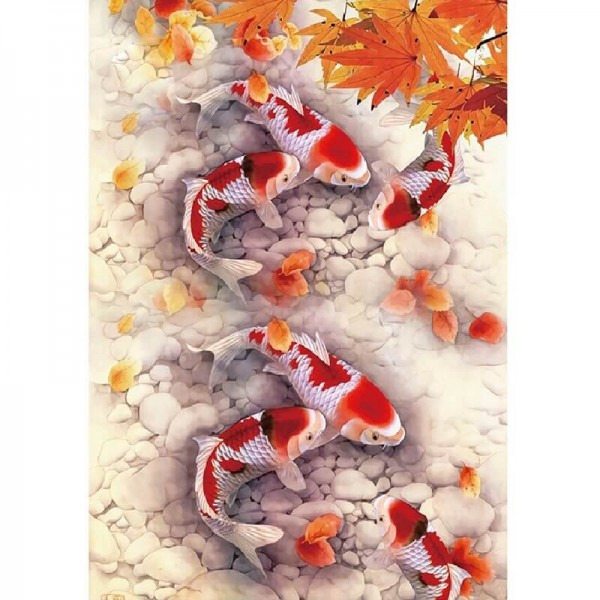Koi fisk