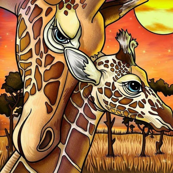 Giraffer