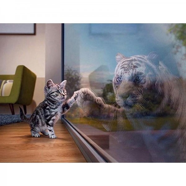 Killing vindue refleksion