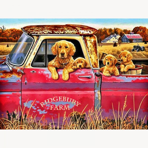 Hunde i bil