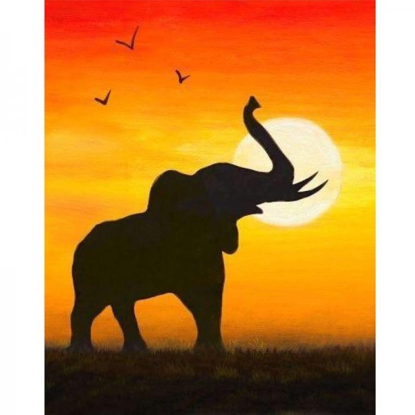 Elefant ved afrikansk solnedgang