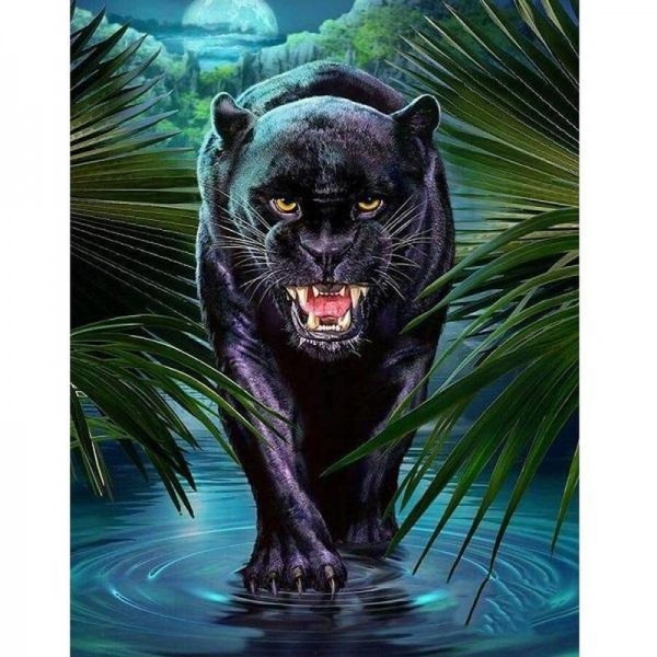 Sort panter