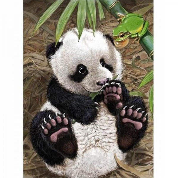 Baby panda