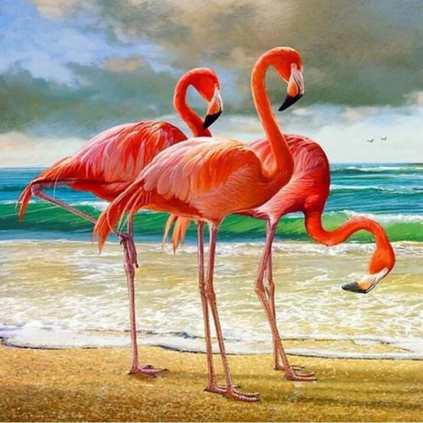 Flamingoer ved havet