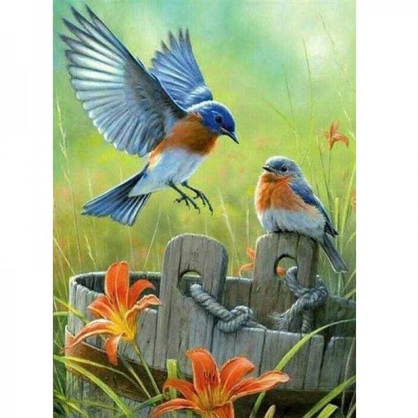Robins
