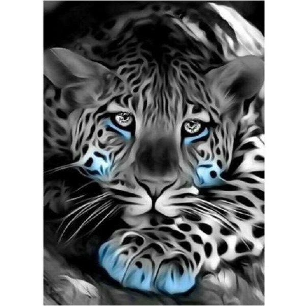 Sort og hvid leopard