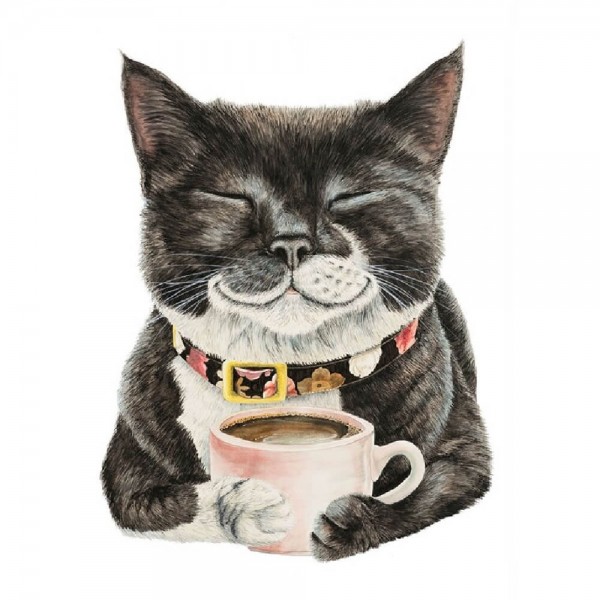 Kat med kaffekop