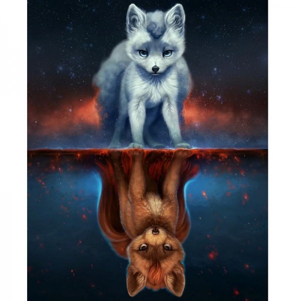 Fox refleksion