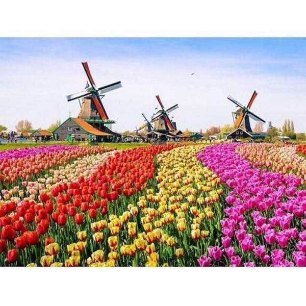 Tulipanmark