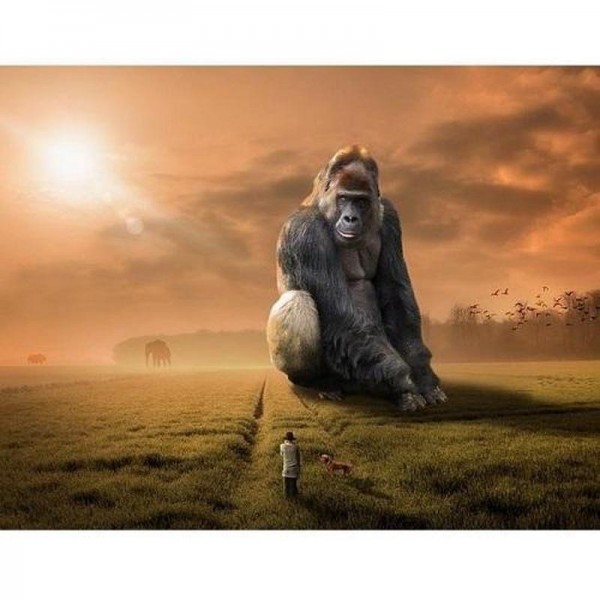 Gorilla.