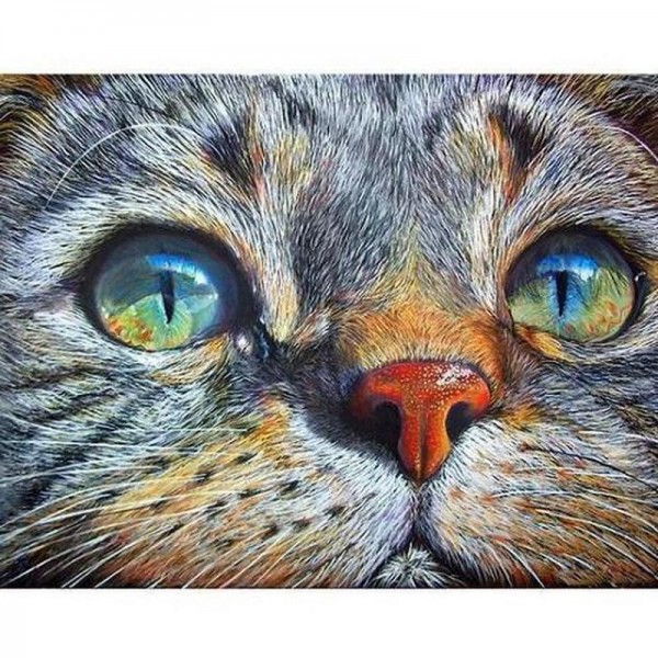 Kat.