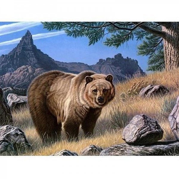 brun bjørn