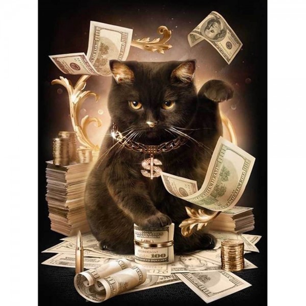Rig kat