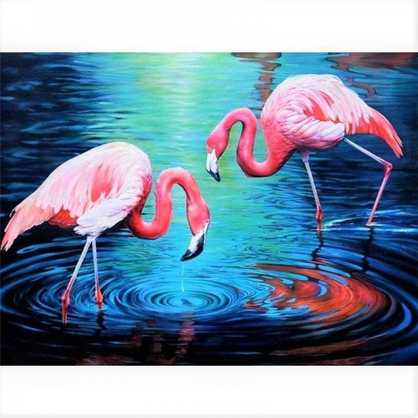 Flamingoer i vandet
