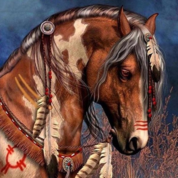 Indianer hest