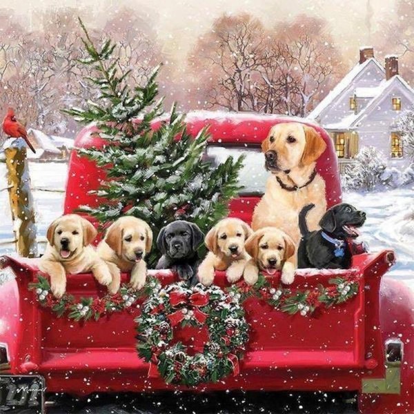 Hunde i julebil