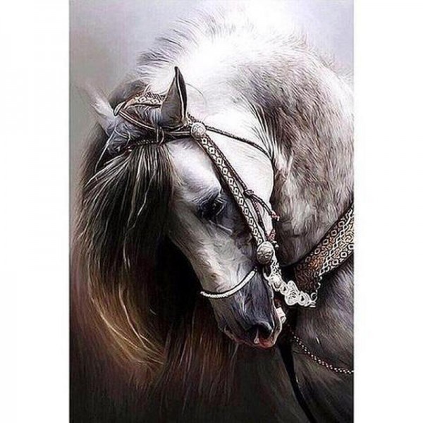 Hest