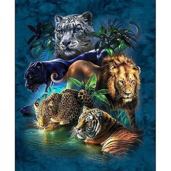 5 katte