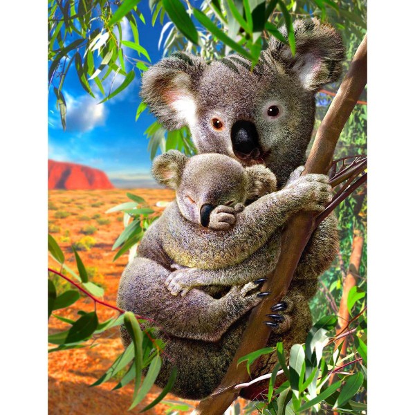 Koala med lille