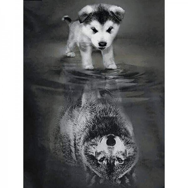 Ulve refleksion