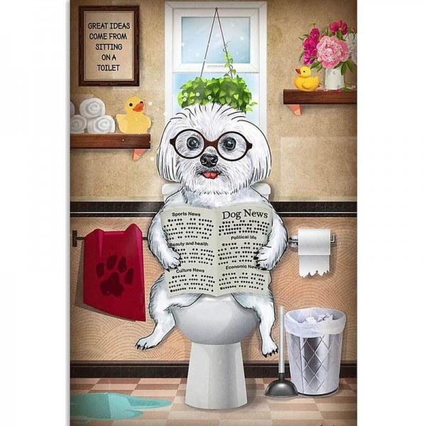 Hund på toilet | 12 slags