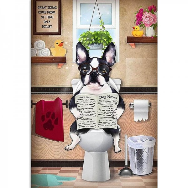 Hund på toilet | 12 slags
