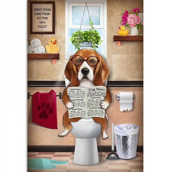 Hund på toilet | 12 slags