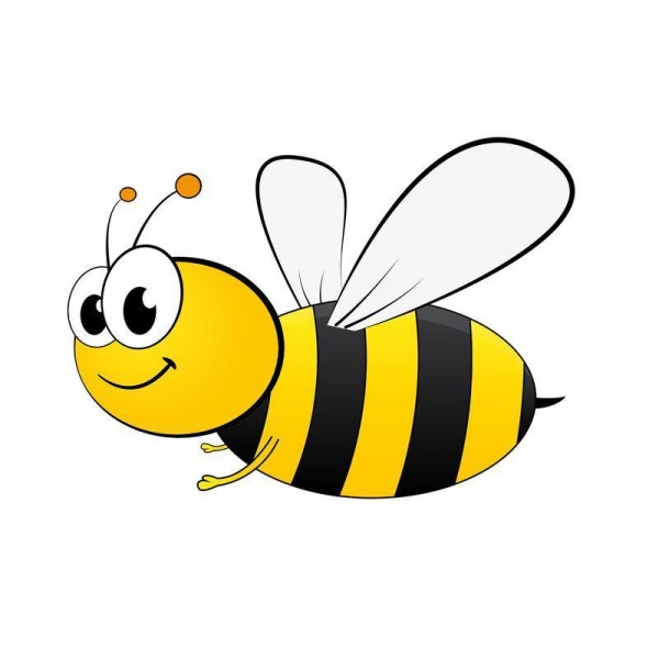 Munter bi