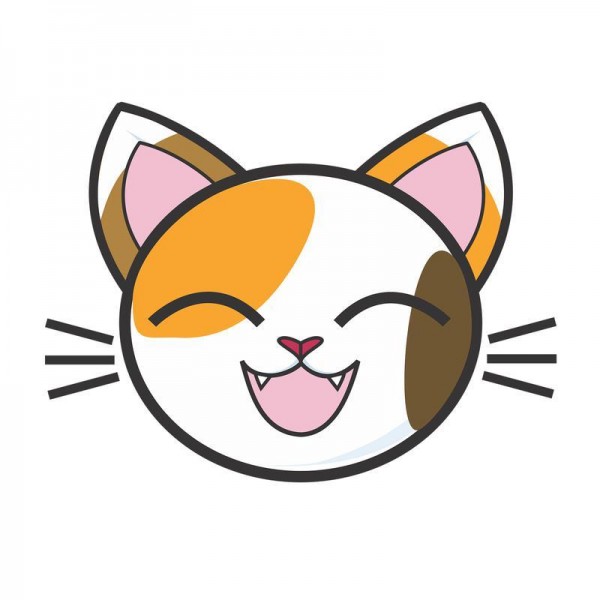 Ansigt kat