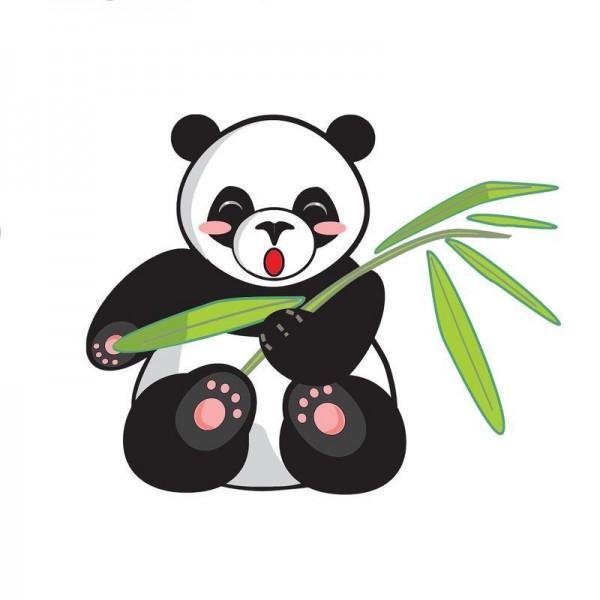 Panda bjørn