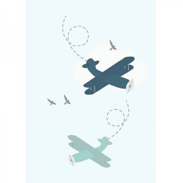 Fly