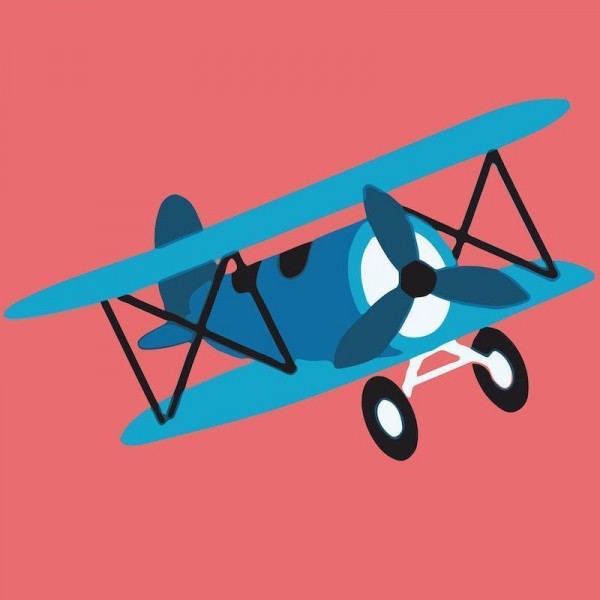 Fly