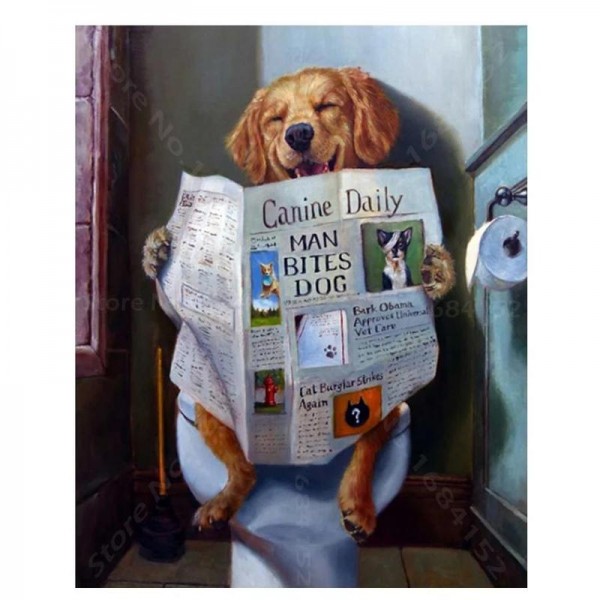Hund på toilet