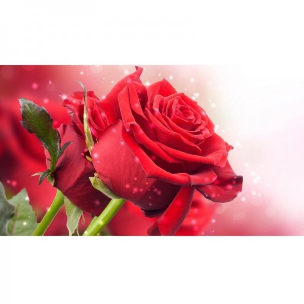 Rosen