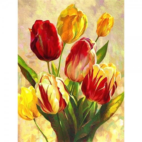 Tulipaner