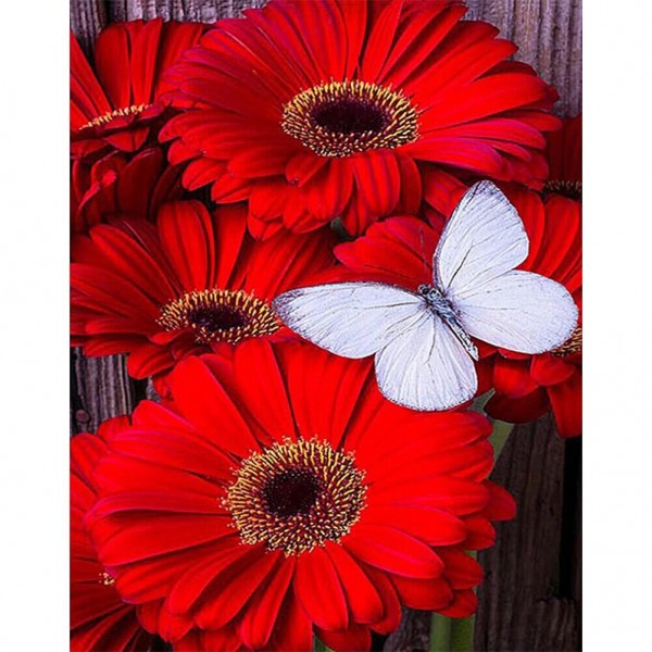 Gerbera blomster