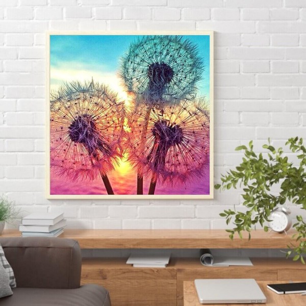 Fuldblomstrende mælkebøtter v.a. 50x50cm