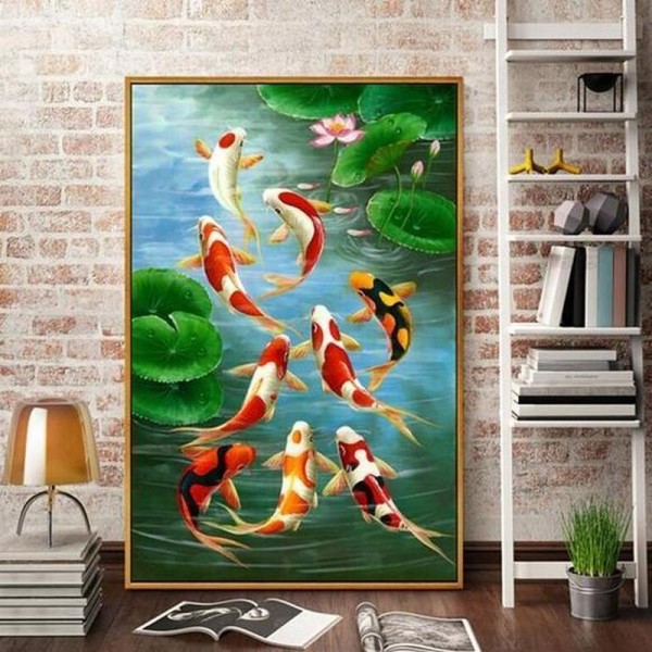 Koi Karps i dam fra 50x90cm