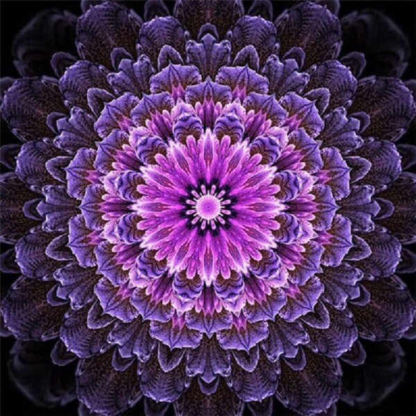 Mandala lila