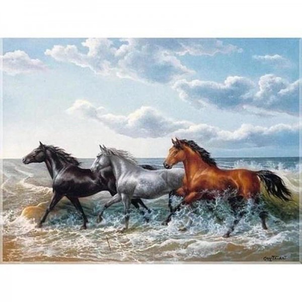 Heste i galop