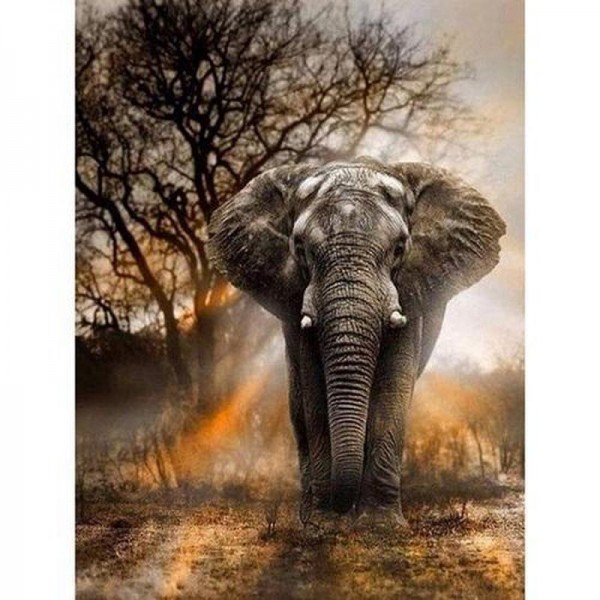 Elefant