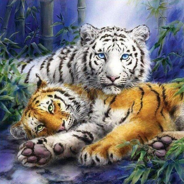 Tigers