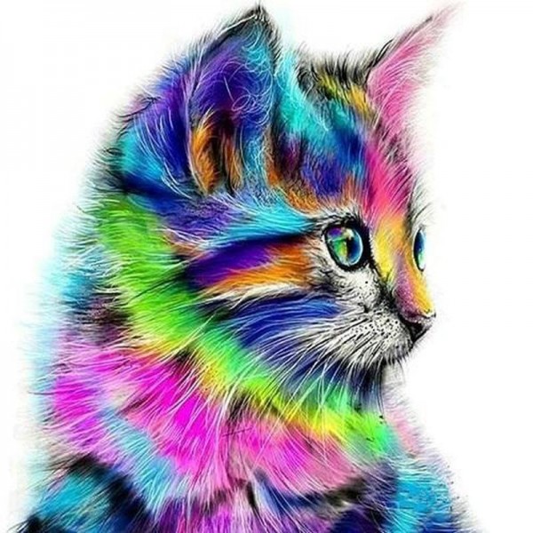Farvet kat