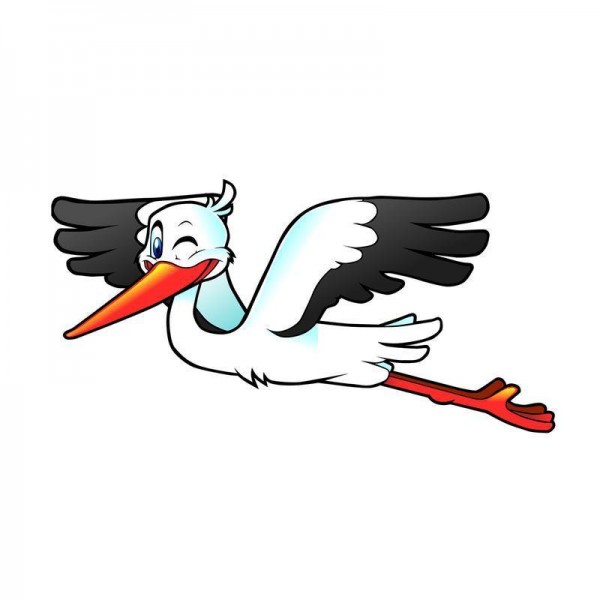 stork