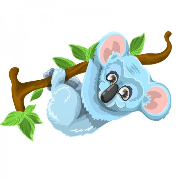 Koala bjørn