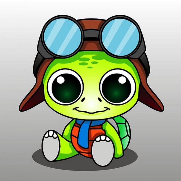 Skildpadde
